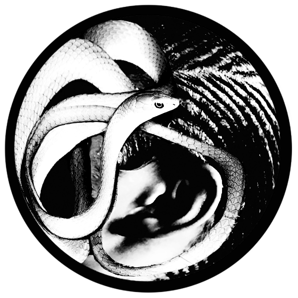 snake logo 3.png