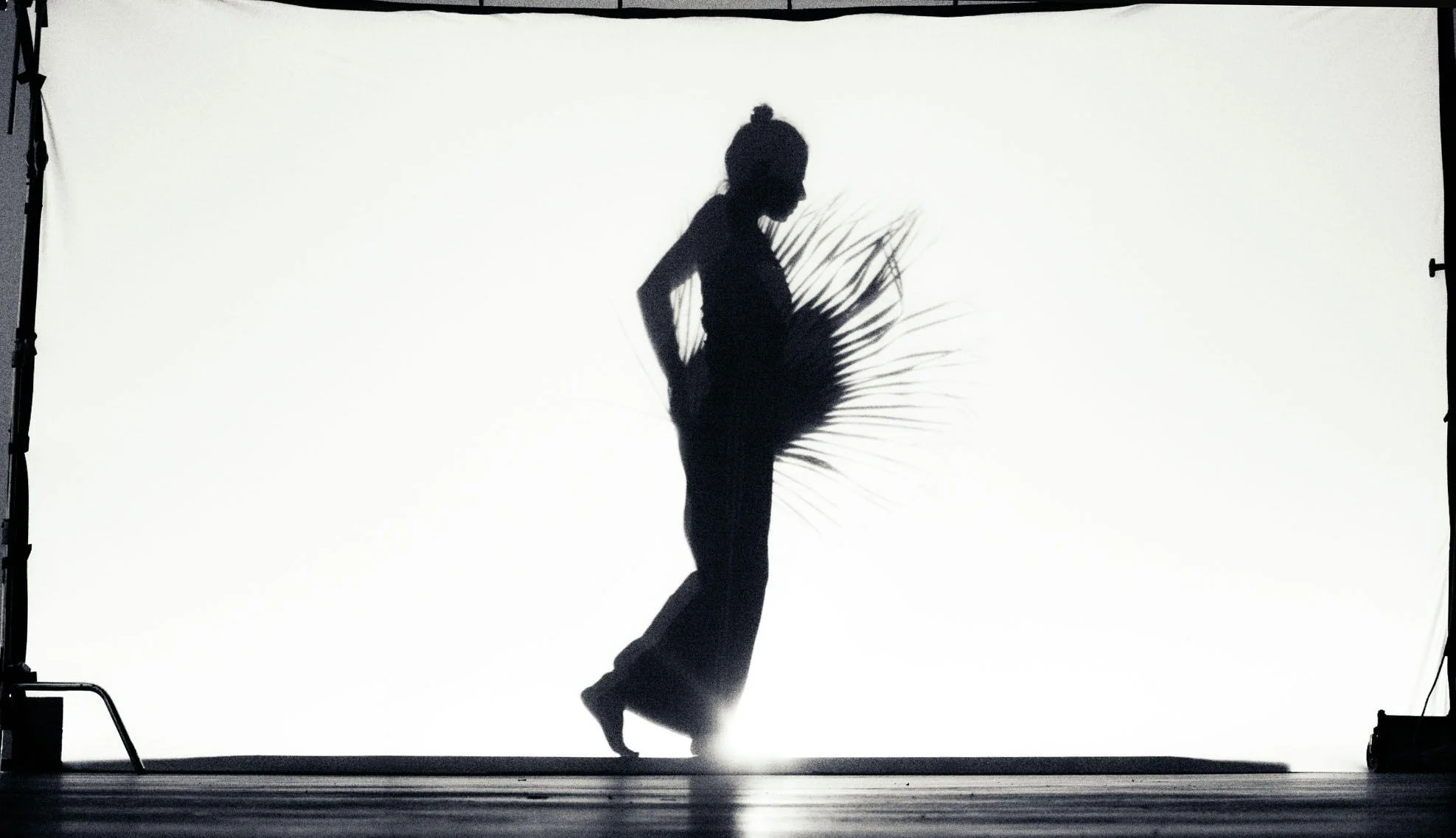 Francesca Gabbiani: Gossip