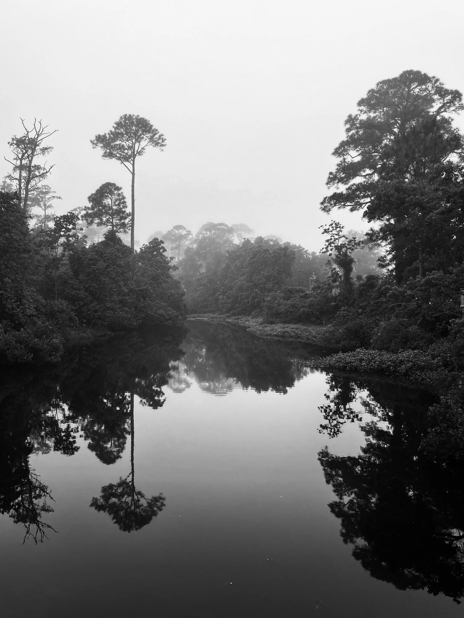 bridge view b and w.JPEG