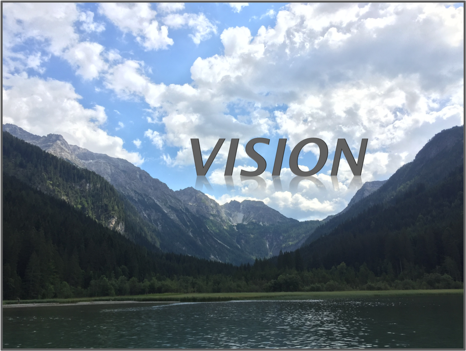 Vision.png
