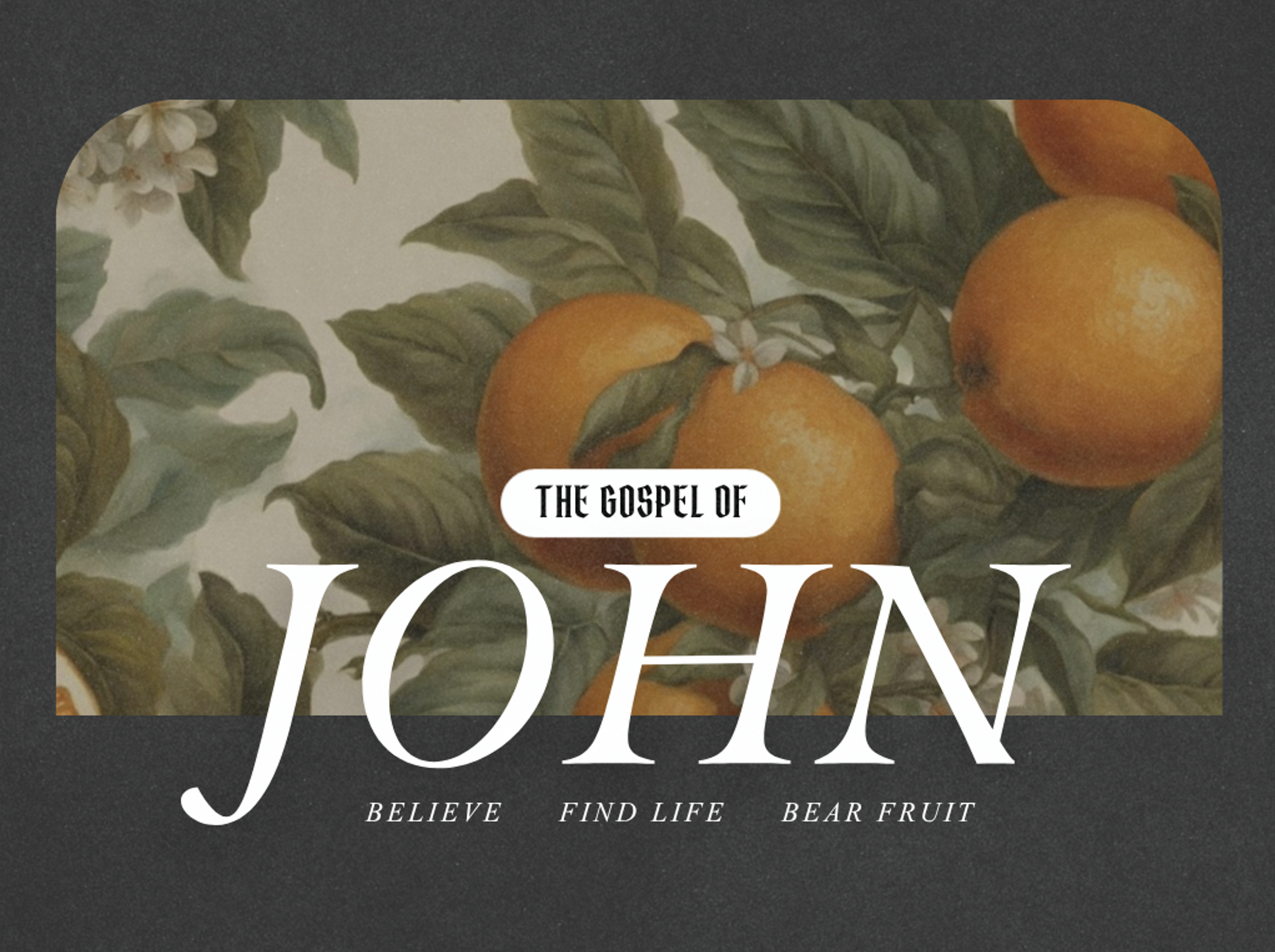 John 1:9-18