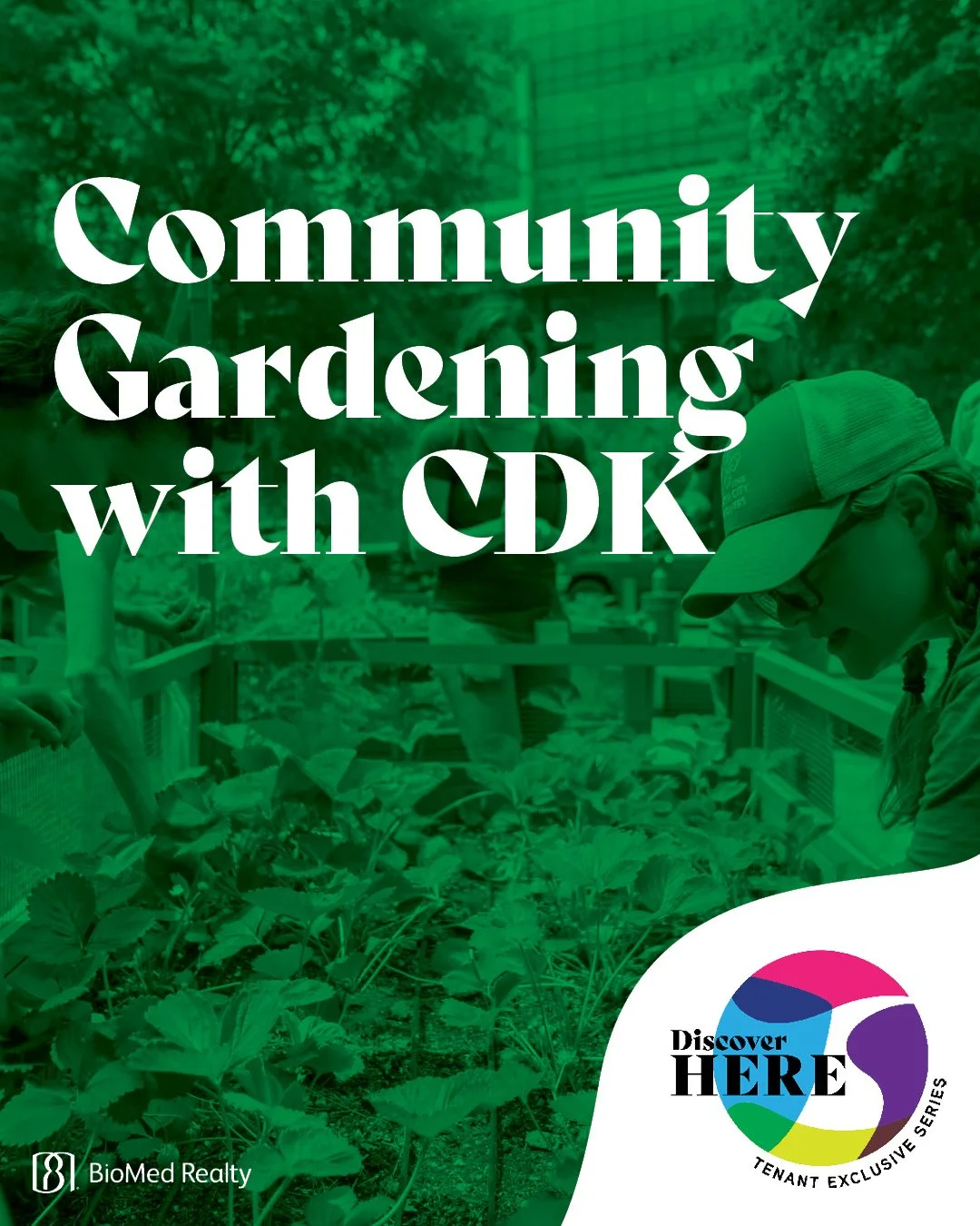 Garden alongside an urban farmer this spring at CDK!⁠
⁠
Stop by our weekly on-site vegetable garden program. A farmer from @greencitygrowers will guide you in planting, maintaining, and harvesting fresh organic produce that you can take home and use 
