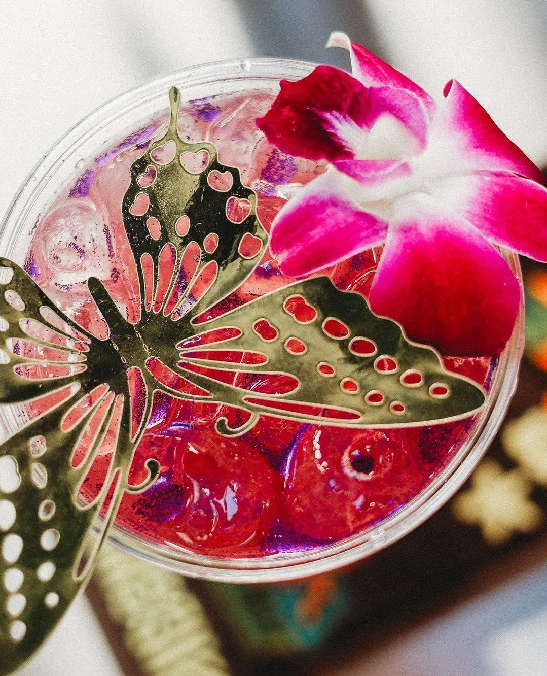 In exactly two weeks, the @saguaroboston garden bar pops back up at CDK and this year they're opening with a Cinco de Mayo party on May 5th🎉🌵🪩