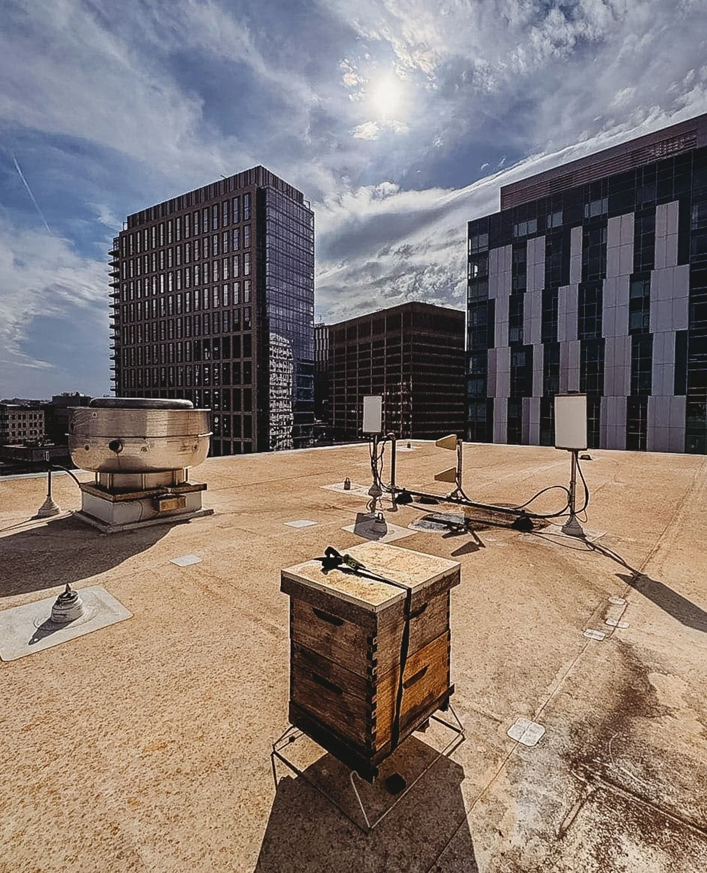 A note from our trusty @alveolebuzz beekeeper atop 450 Kendall:⁠
⁠
"Just finished up an inspection at BioMed Realty on Kendall St. The sunny vibe was perfect for checking on the girls. They were buzzing happily, and it&rsquo;s such a beautiful v