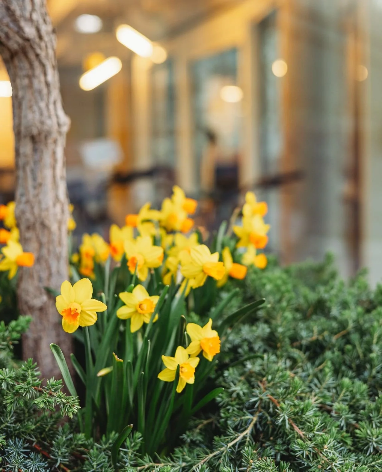 Our spring programming continues with the return of the @kendallsqfarmersmarket next Thursday. Stop by for local favorites and find something to freshen up your week!