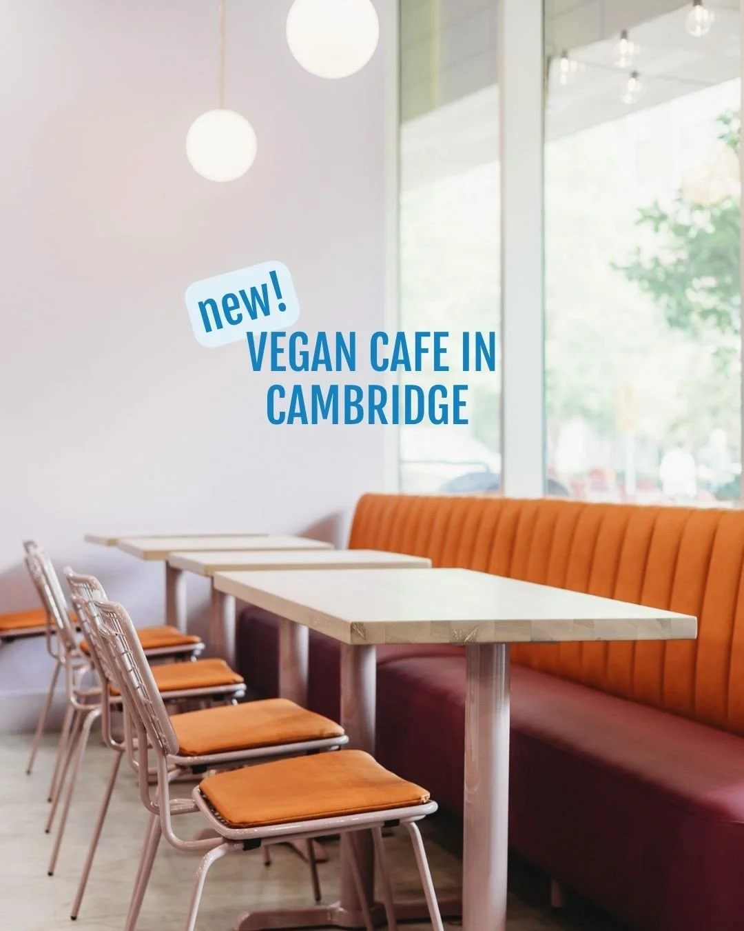 @belulugreen is now open at Canal District Kendall and serving up a delicious all vegan menu! Stop by and try it out on your next lunch break.