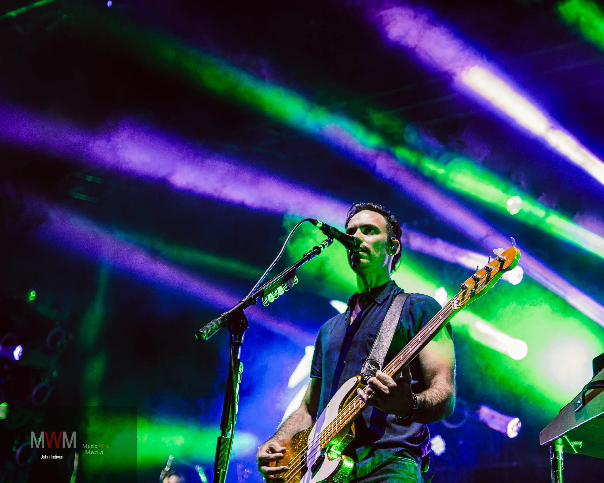 Bassist.jpg