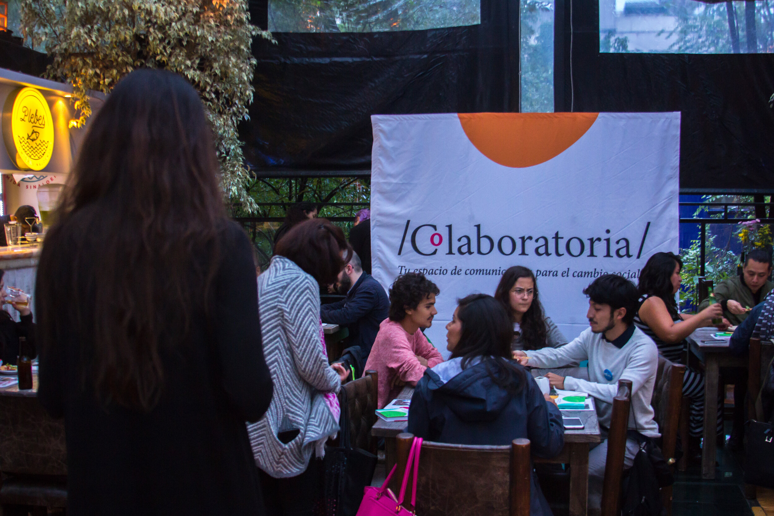 IMG_0988.jpg