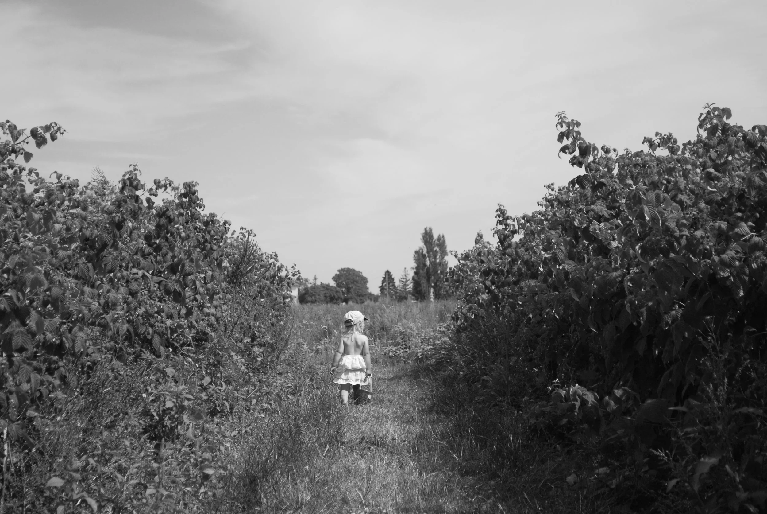 DSC_0772.JPG
