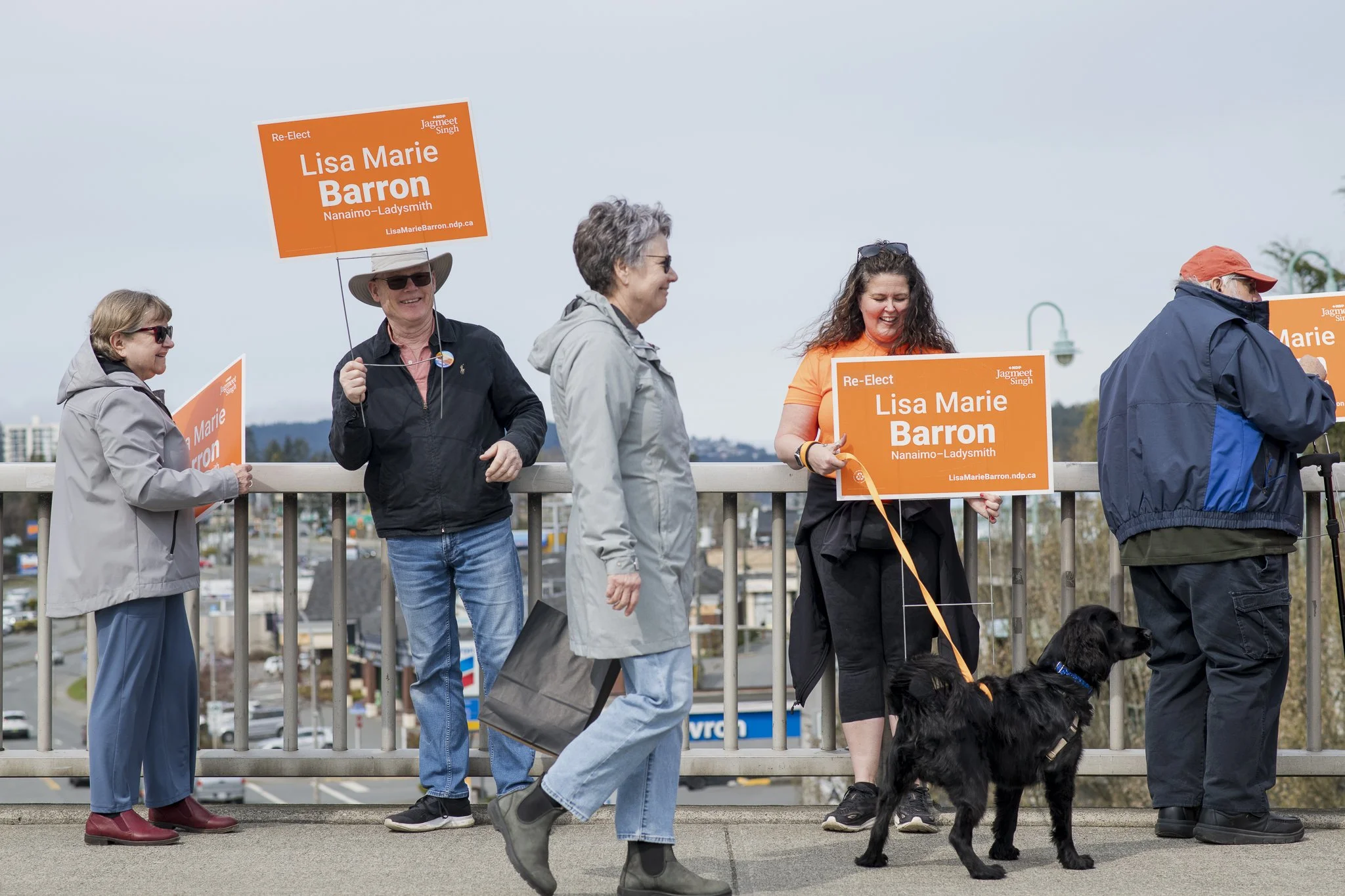 Nanaimo Laydysmith NDP Burma-Shave Web-01.jpg