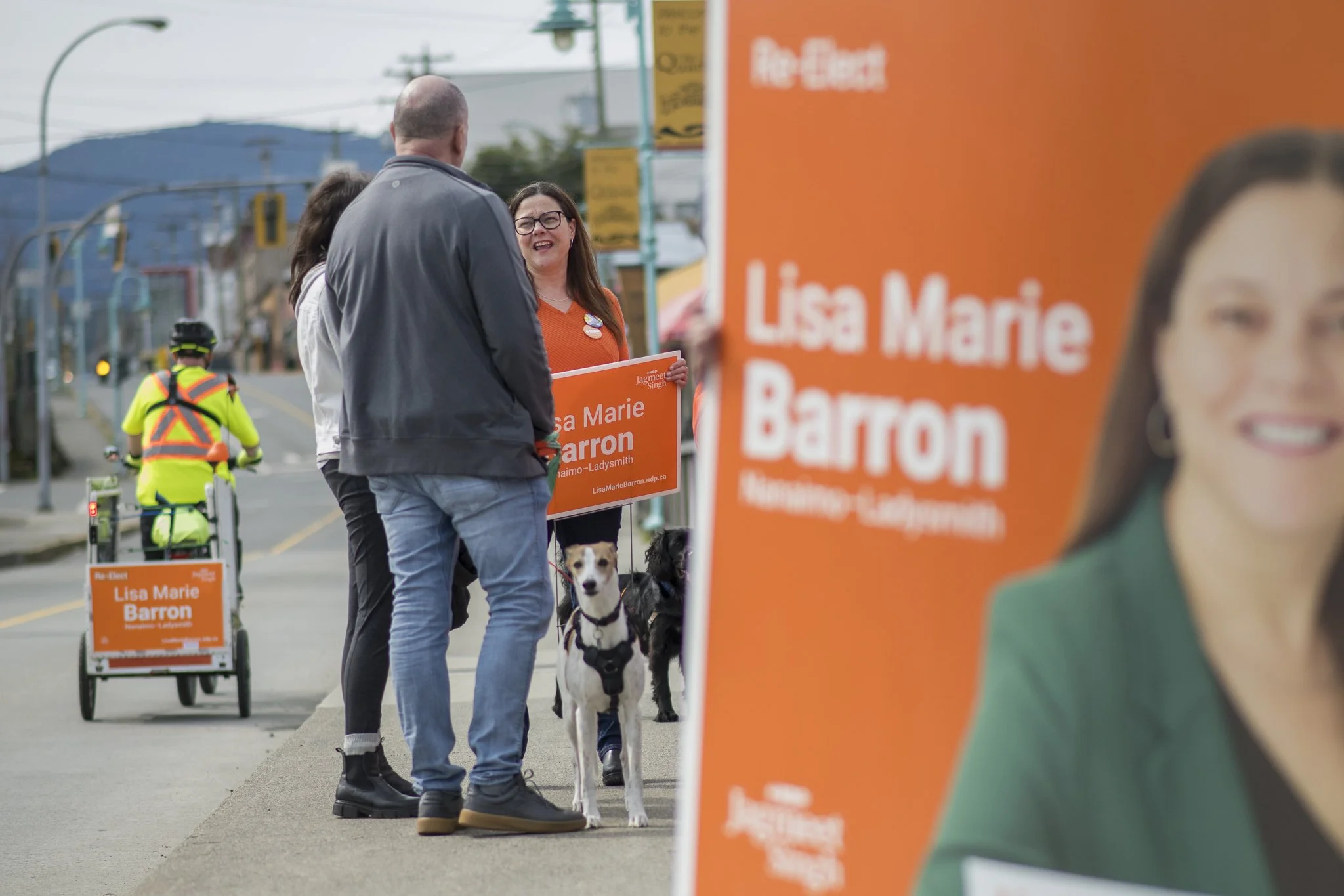 Nanaimo Laydysmith NDP Burma-Shave Web-05.jpg