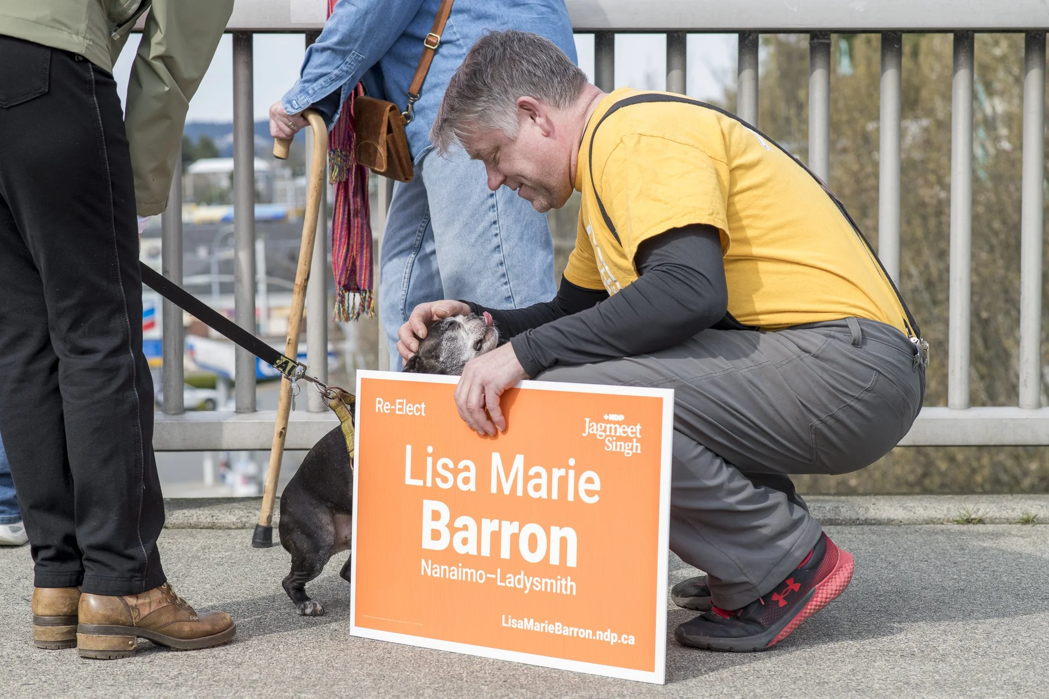Nanaimo Laydysmith NDP Burma-Shave Web-25.jpg