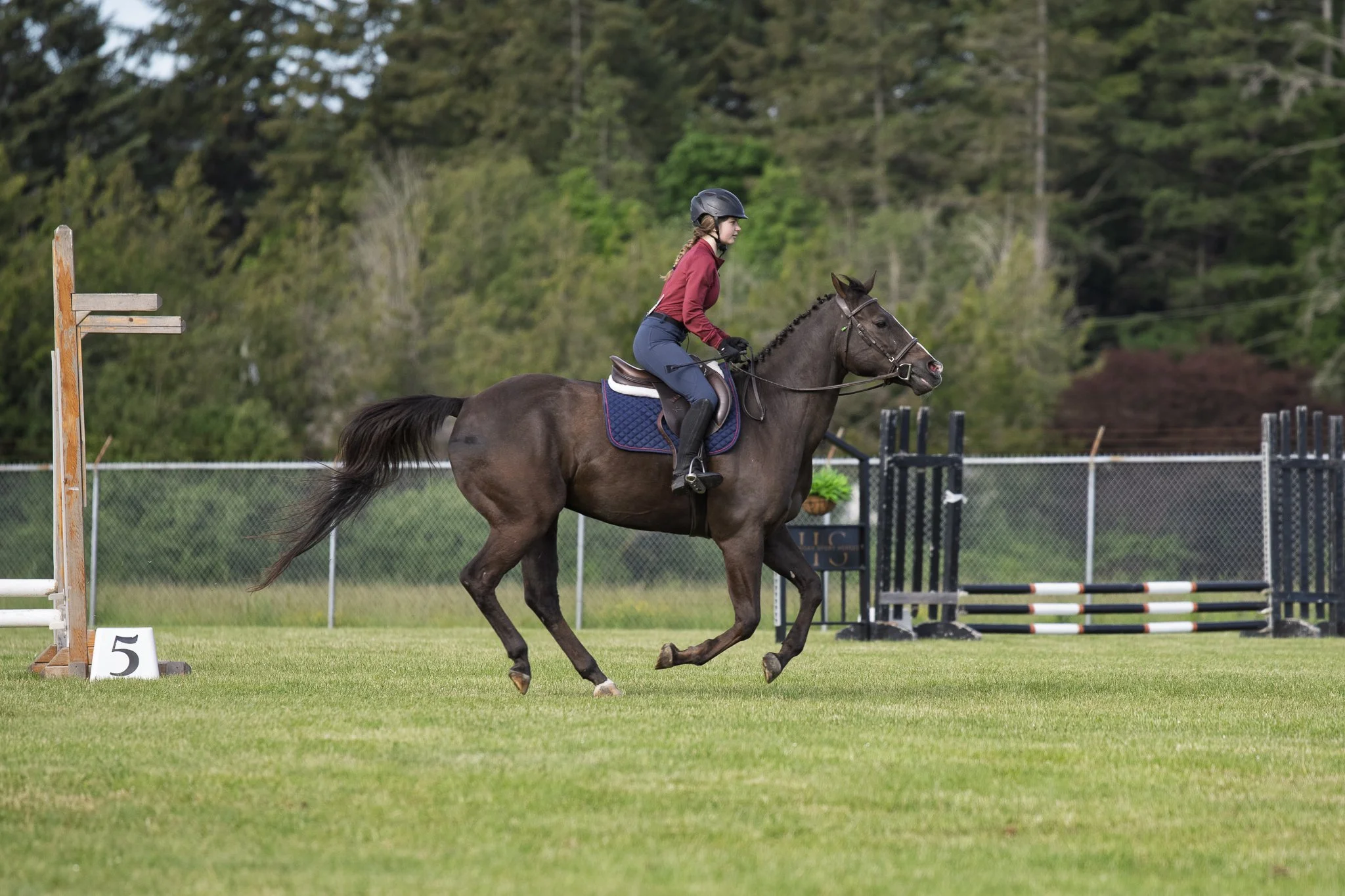 Saanich Show in the Sun May 2026 Small-15.jpg