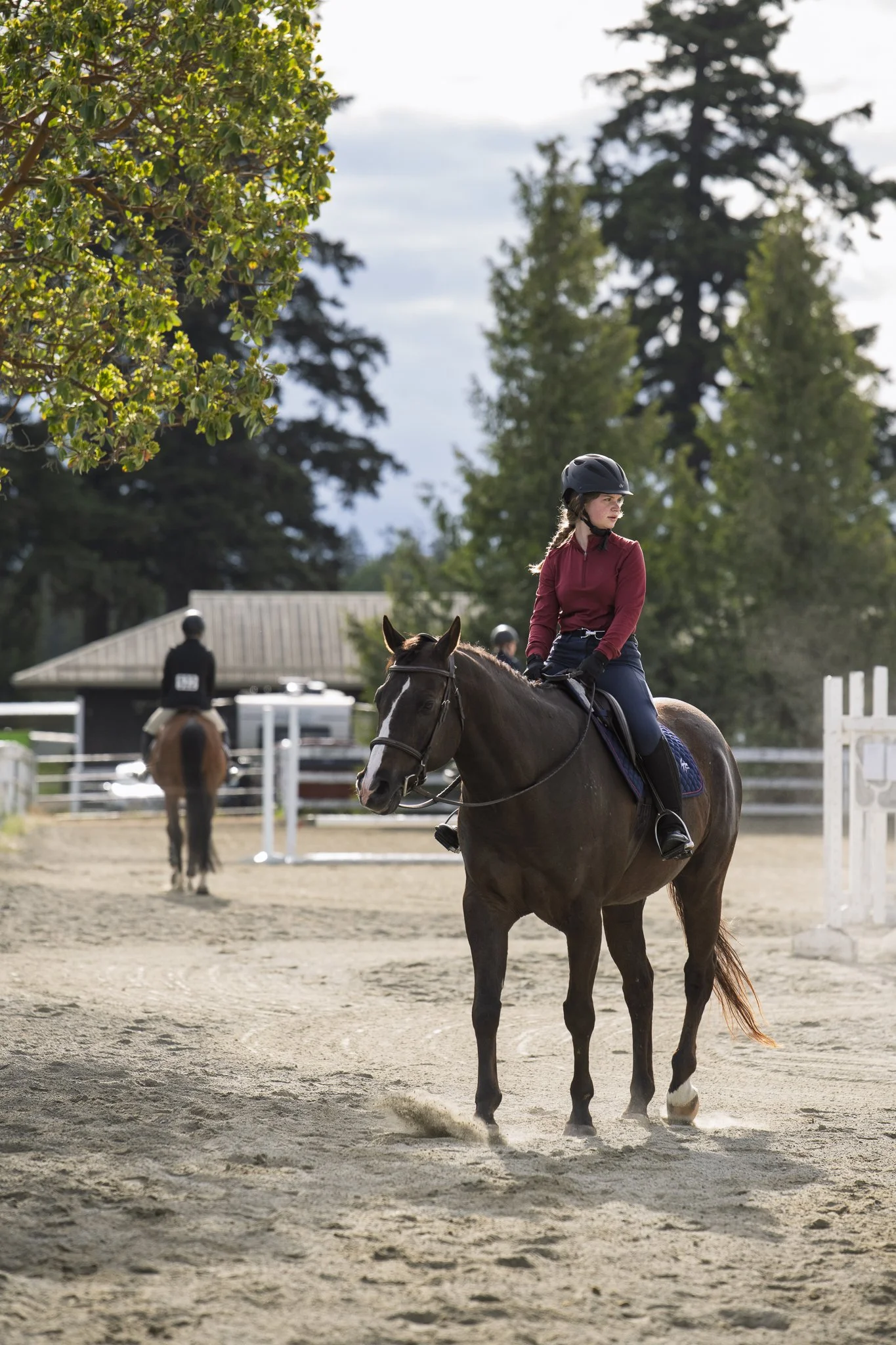 Saanich Show in the Sun May 2026 Small-6.jpg