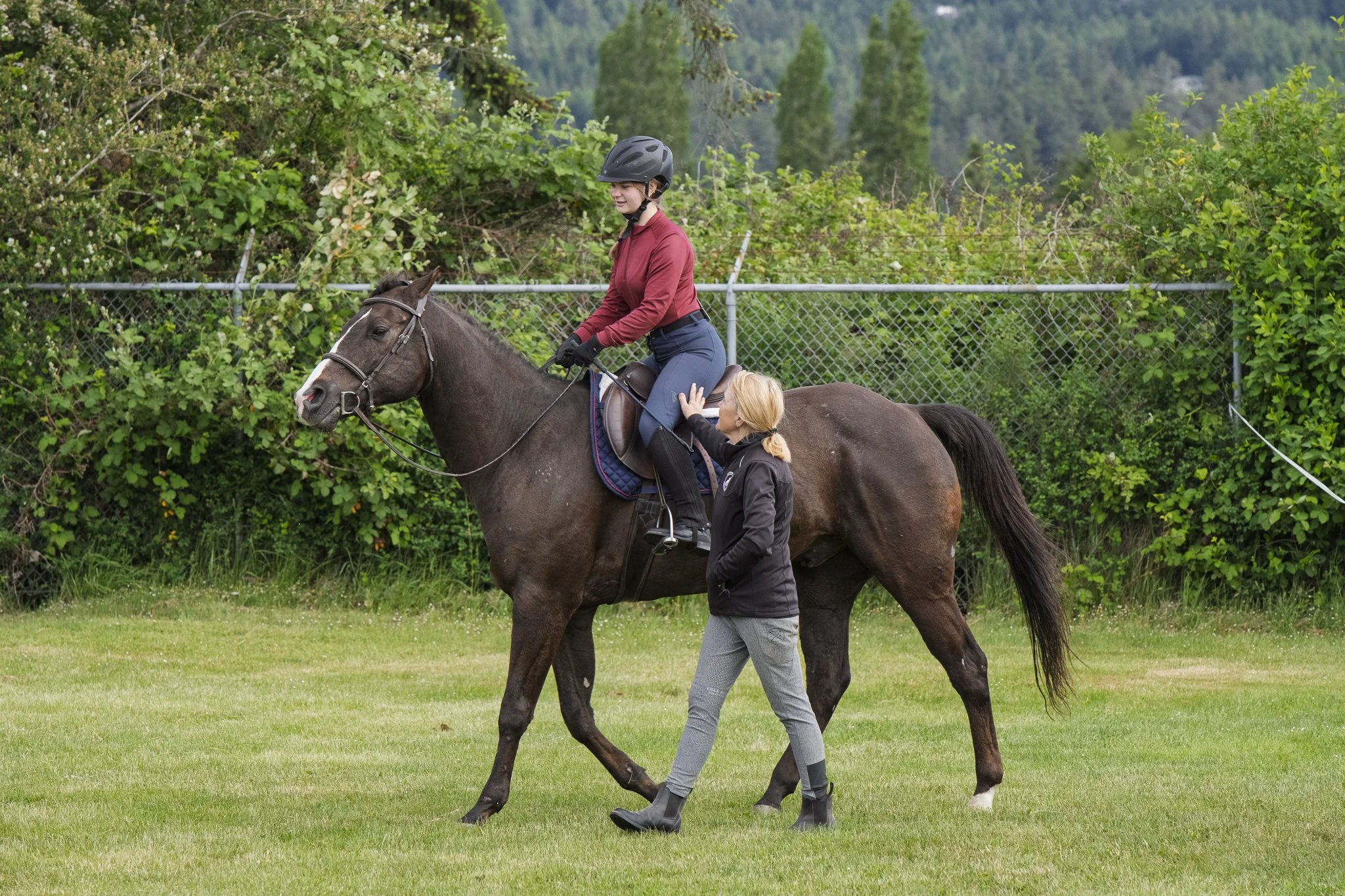 Saanich Show in the Sun May 2026 Small-14.jpg