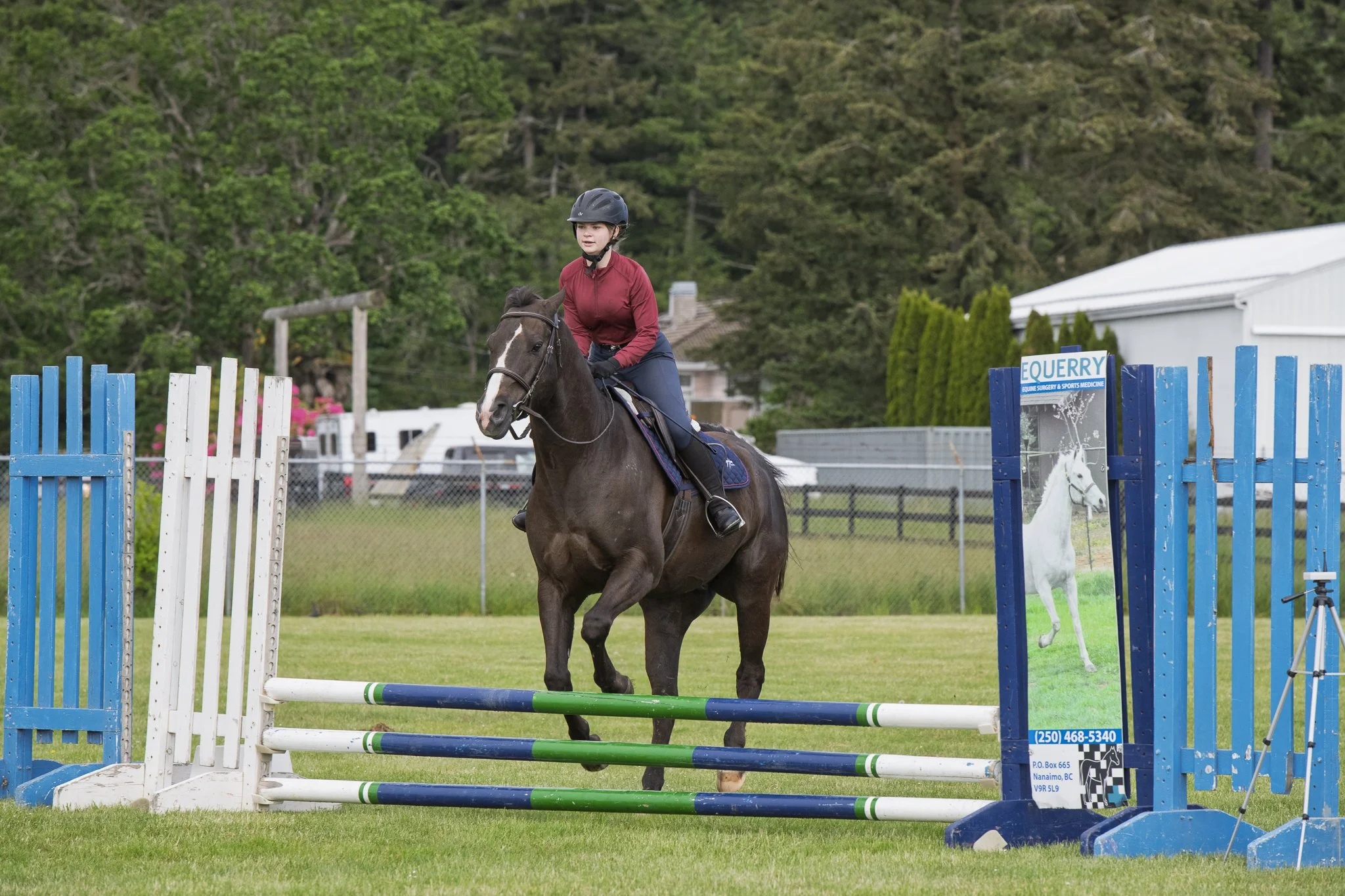 Saanich Show in the Sun May 2026 Small-20.jpg