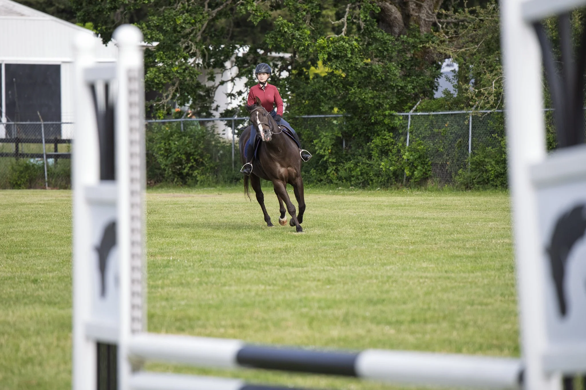 Saanich Show in the Sun May 2026 Small-16.jpg