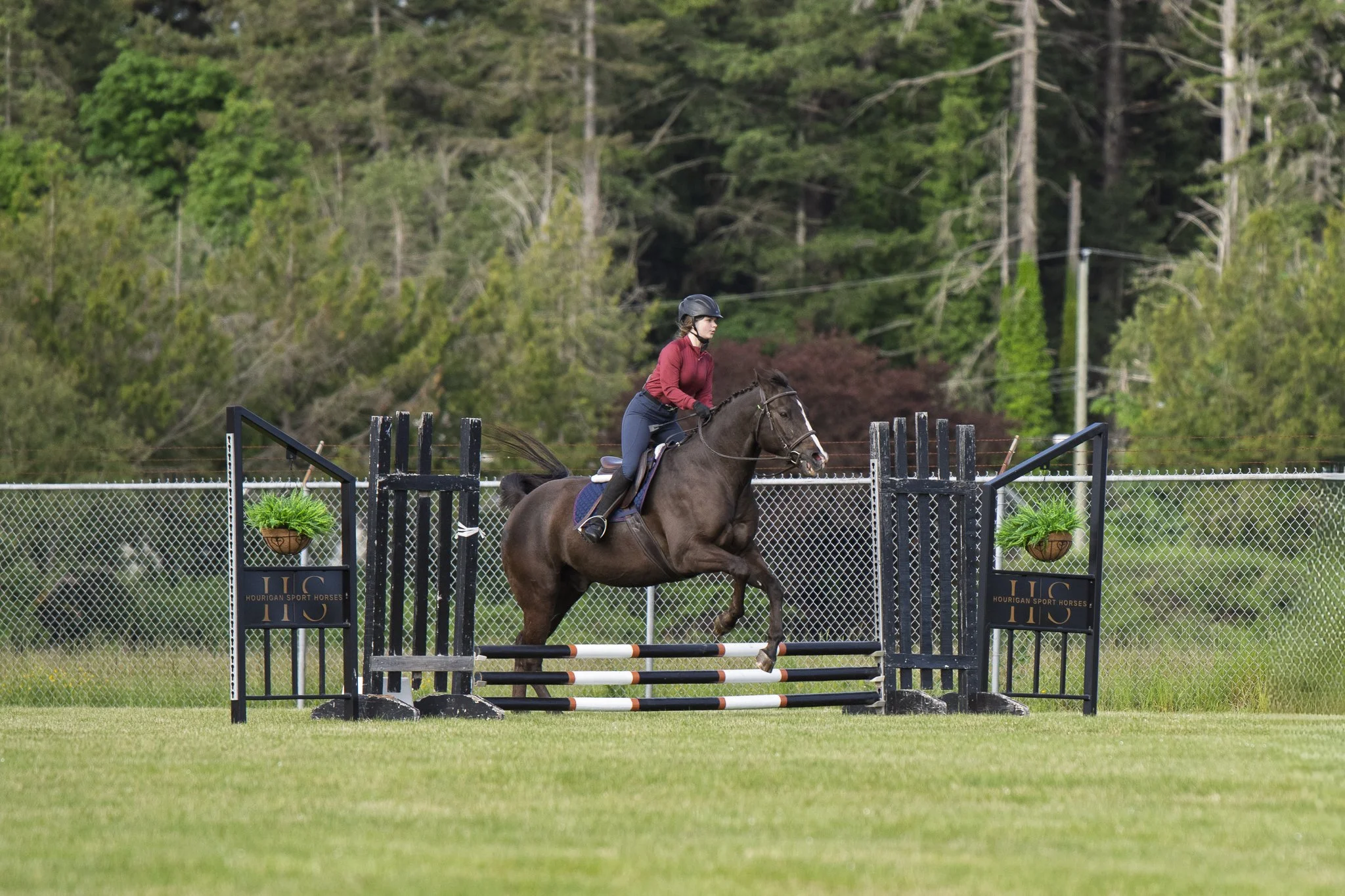 Saanich Show in the Sun May 2026 Small-17.jpg