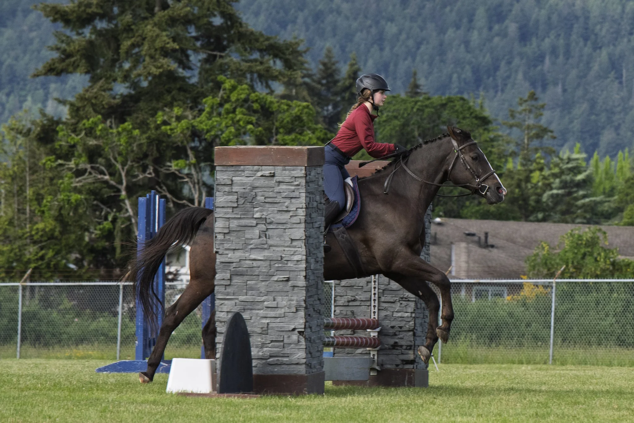 Saanich Show in the Sun May 2026 Small-19.jpg