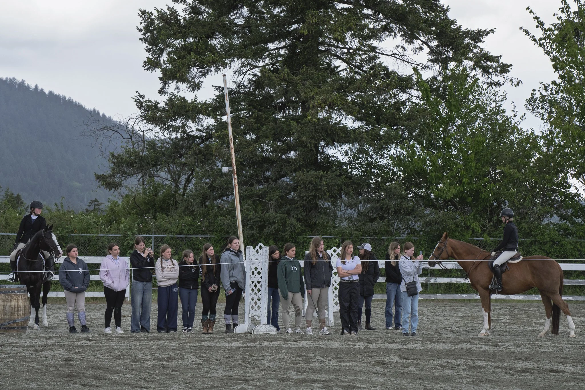 Saanich Show in the Sun May 2026 Small-21.jpg