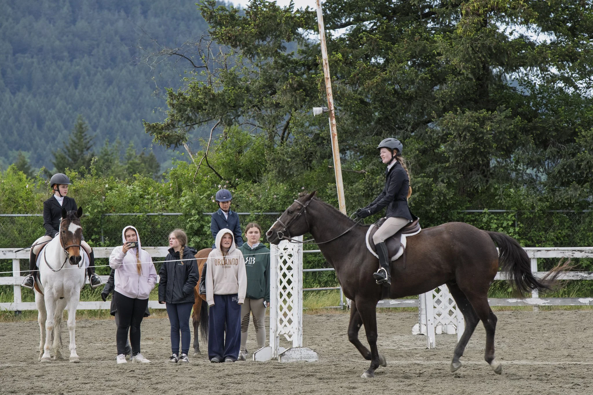 Saanich Show in the Sun May 2026 Small-2-2.jpg