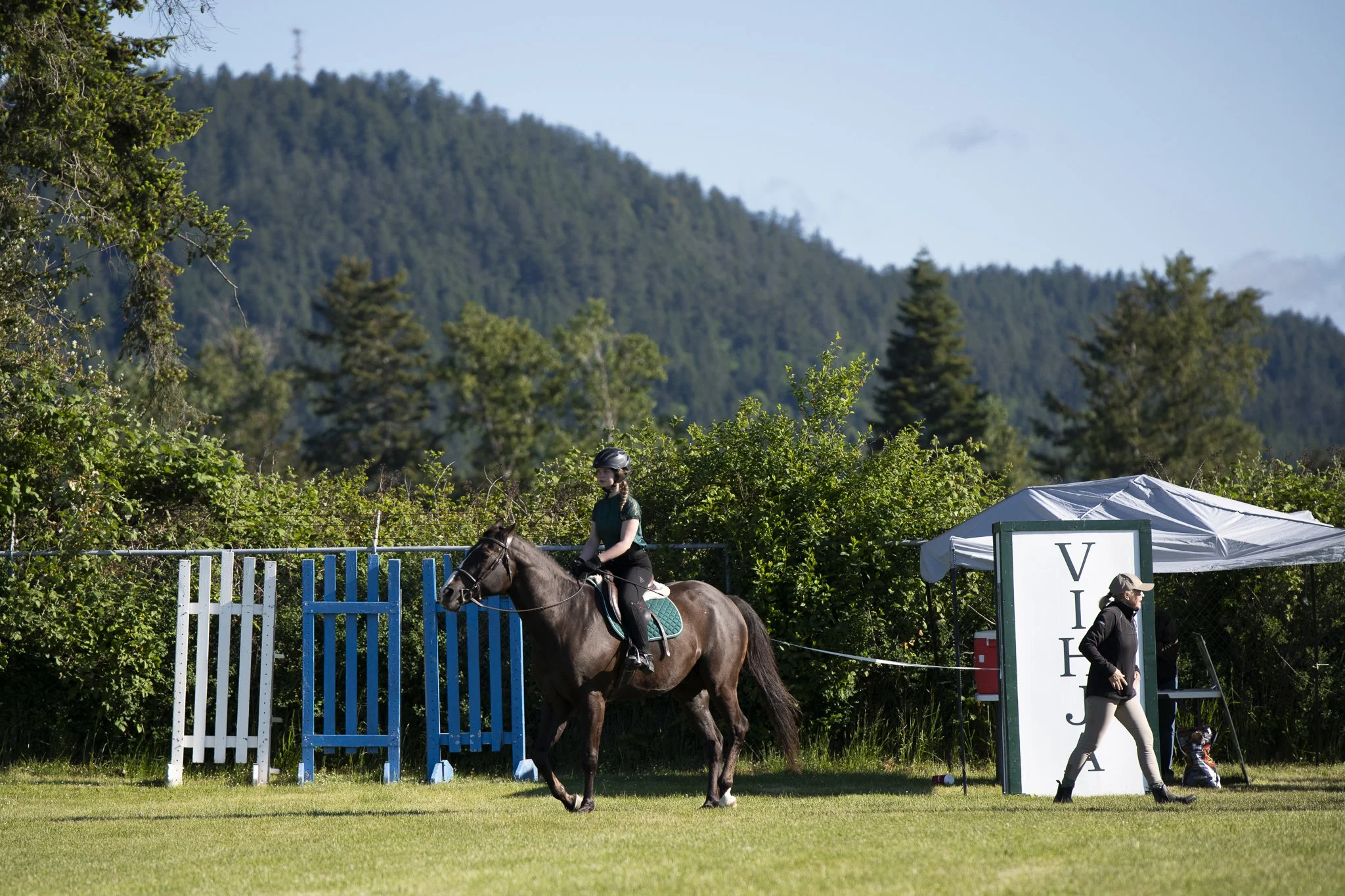 Saanich Show in the Sun May 2026 Small-11-2.jpg