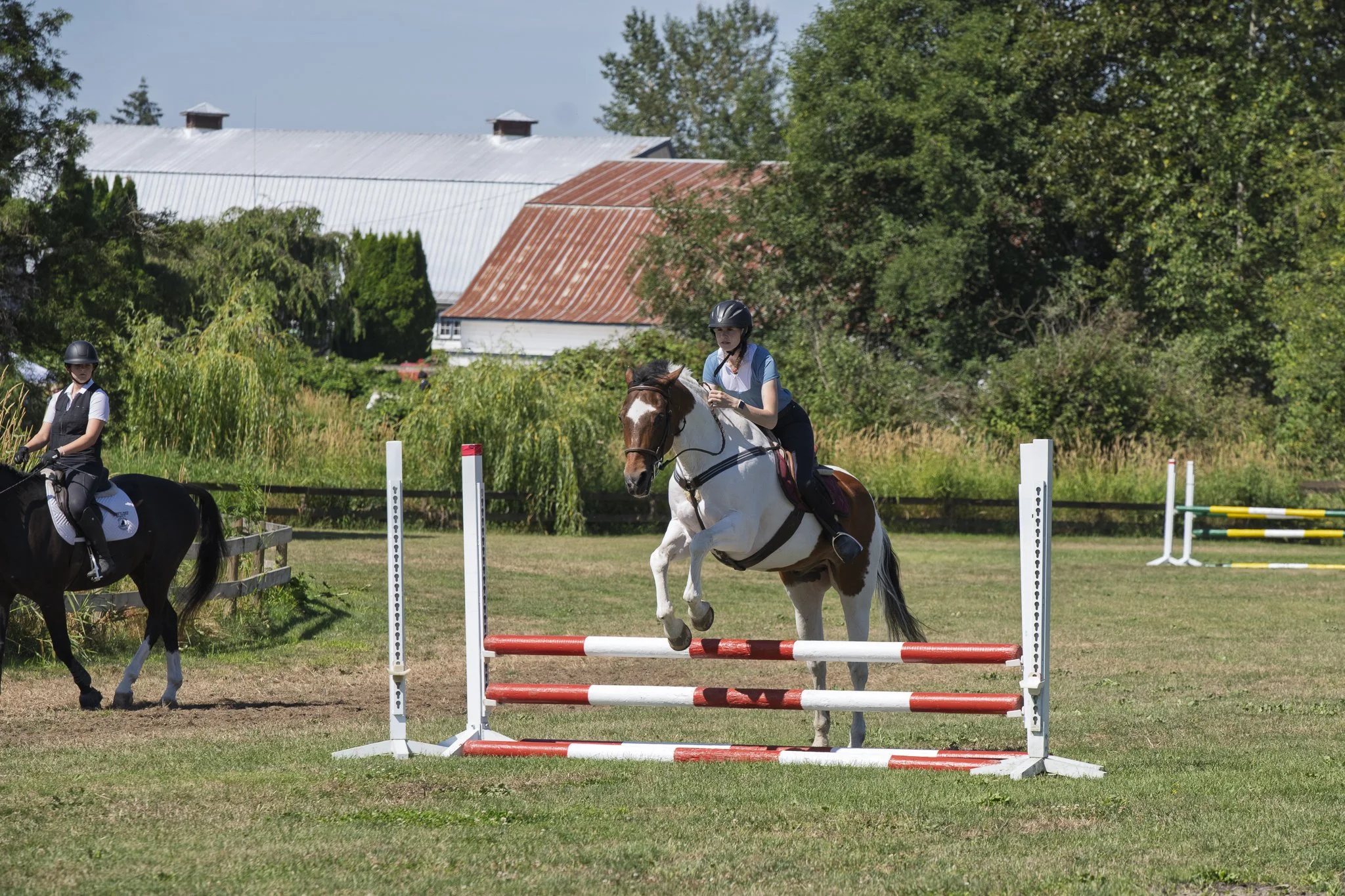 22