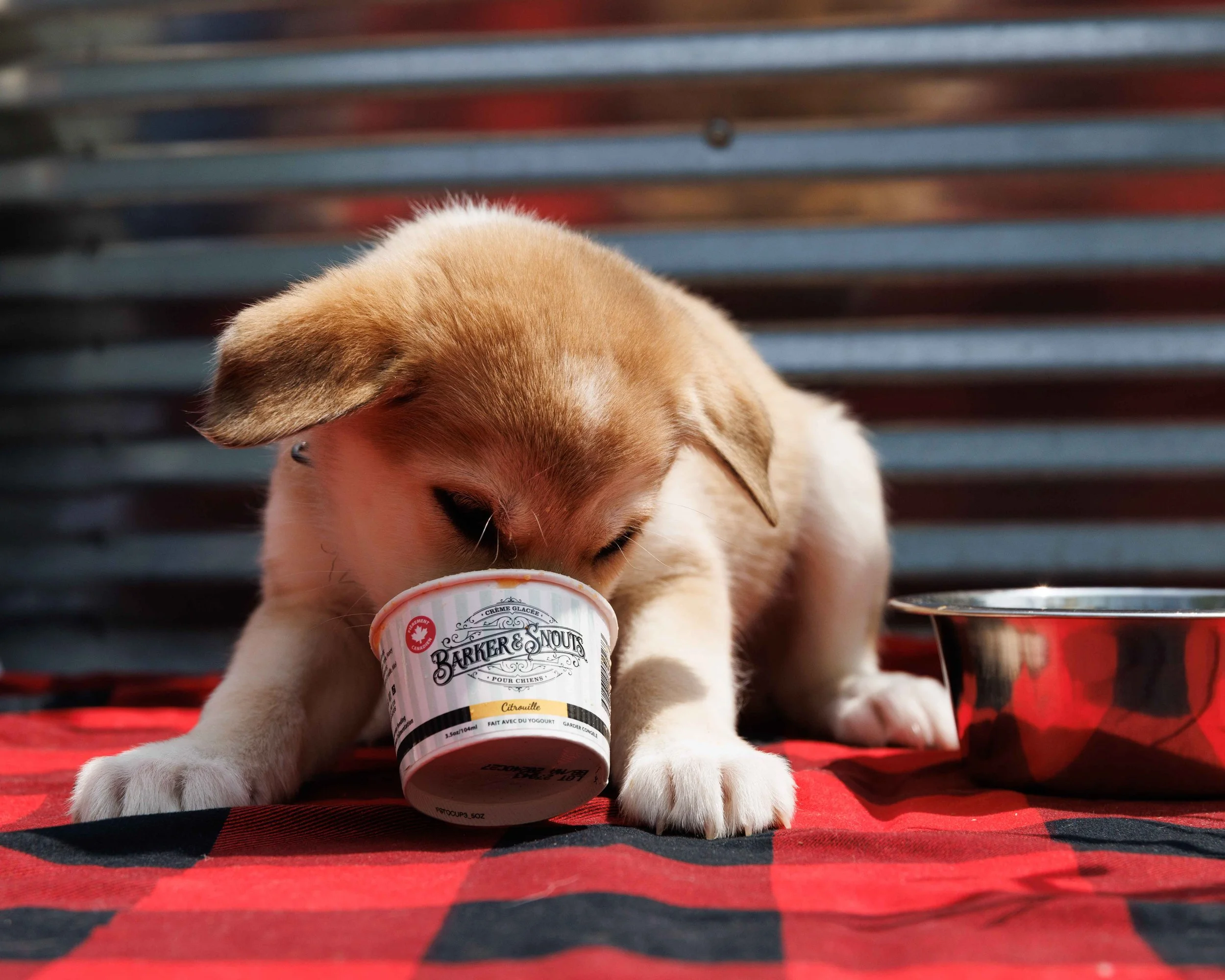 THS-Summer Gifts-32.jpg