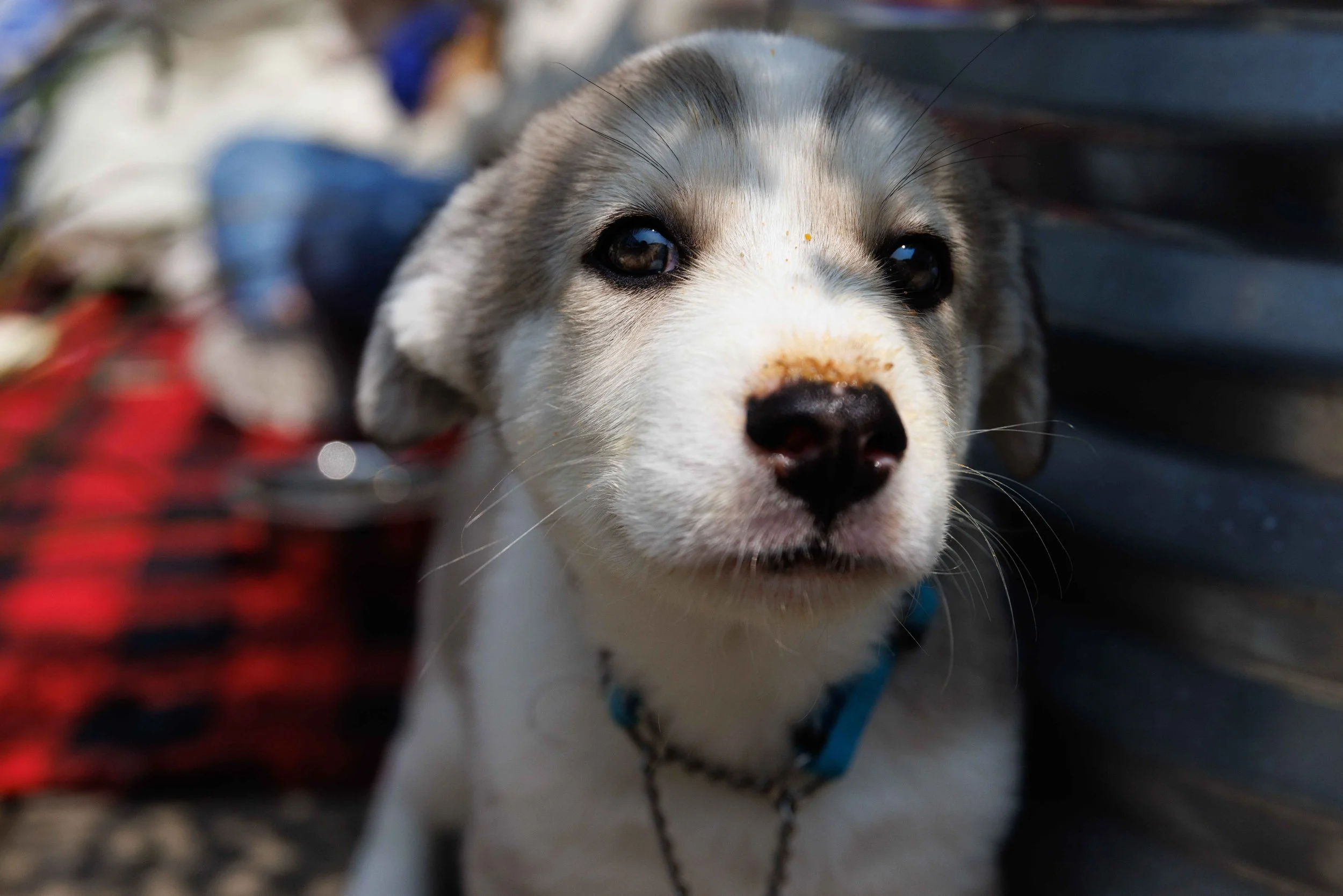 THS-Summer Gifts-39.jpg