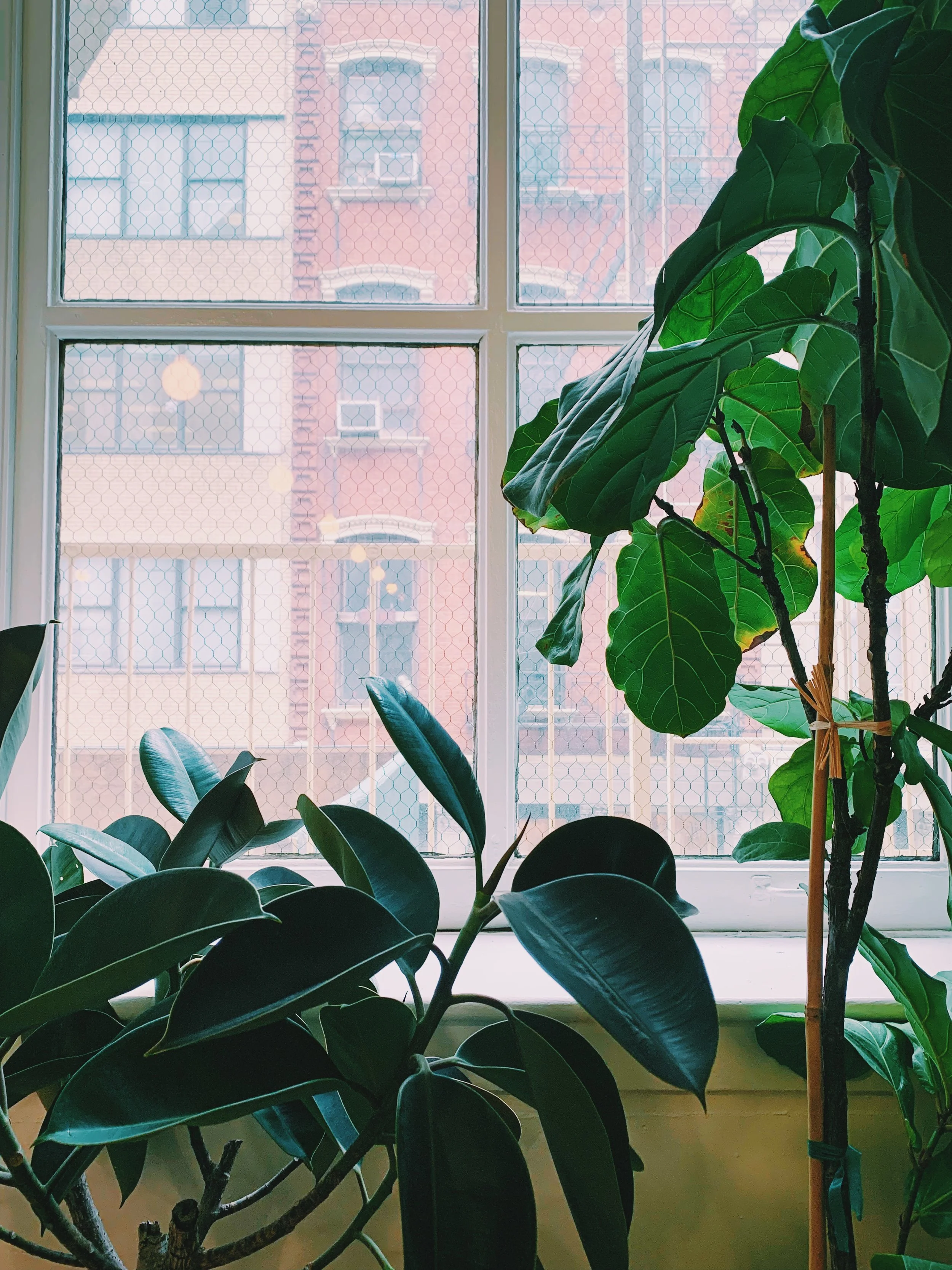 Image_5 2019-06-29_20-49-03.jpeg