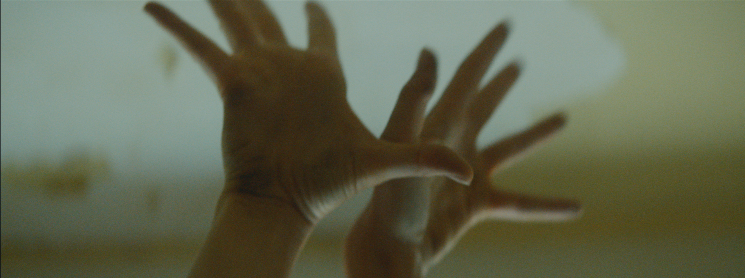 Screen Shot 2019-11-18 at 9.22.28 AM.png