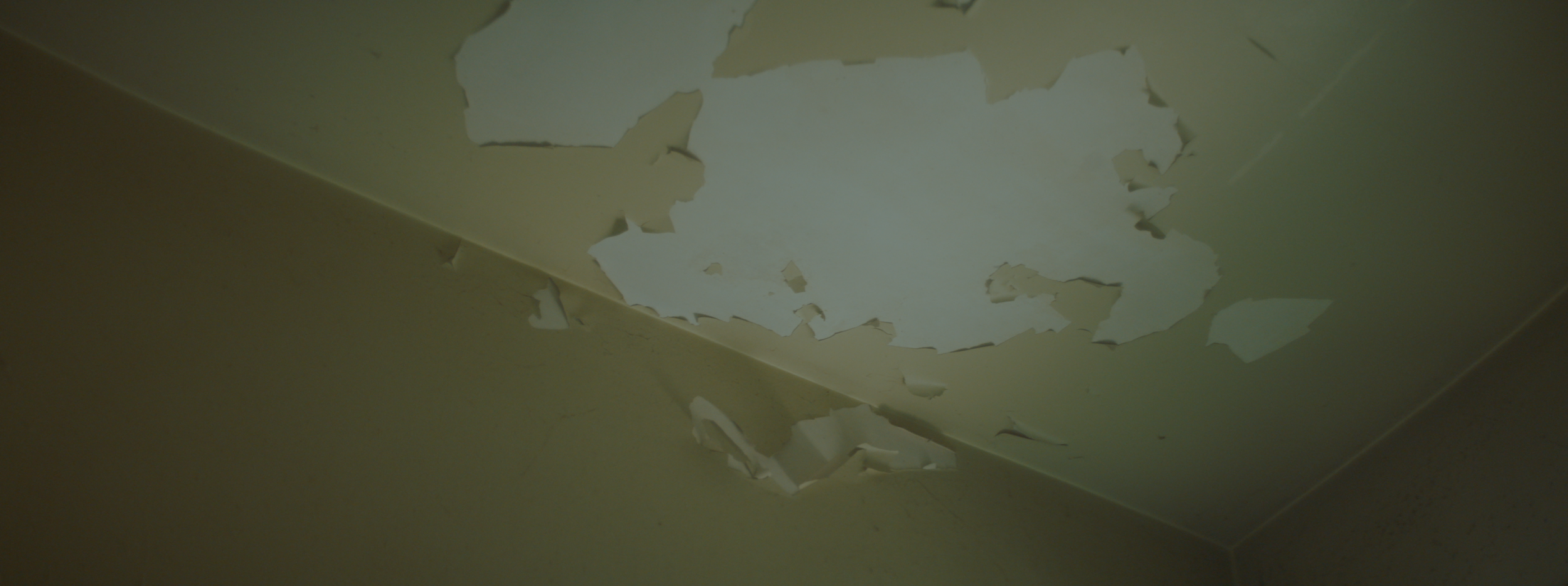 Screen Shot 2019-11-18 at 9.23.52 AM.png