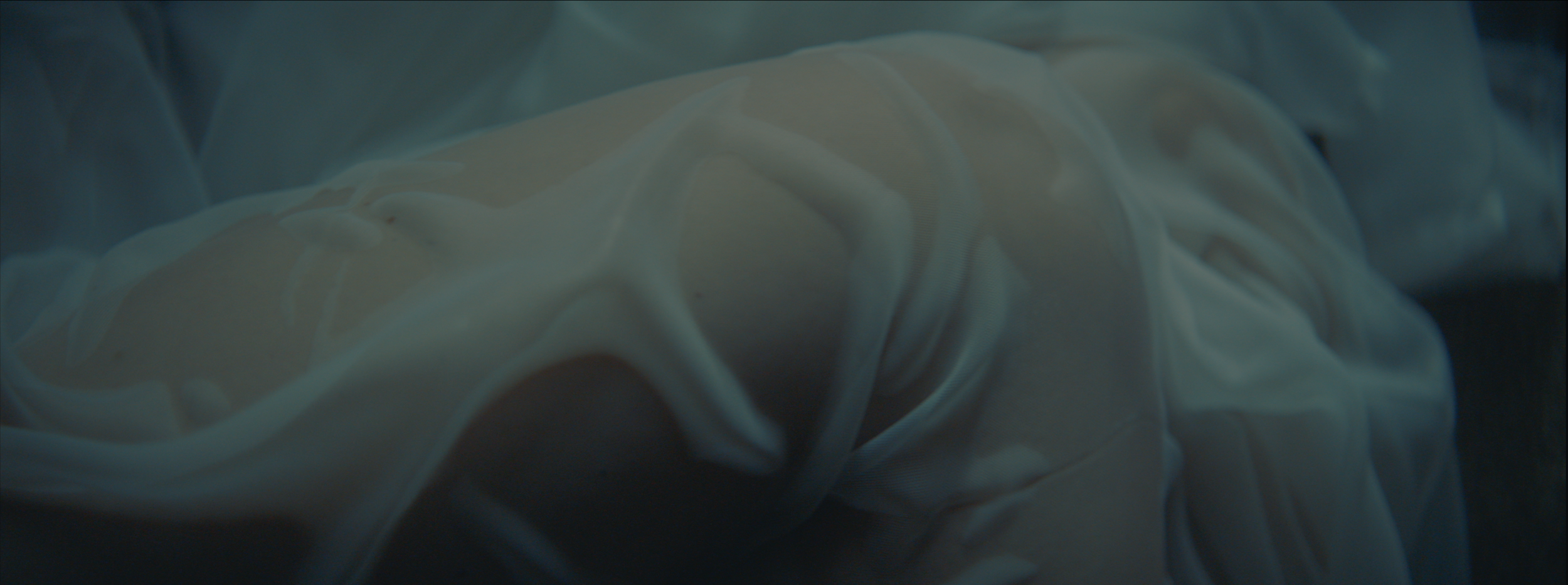 Screen Shot 2019-11-18 at 9.30.39 AM.png