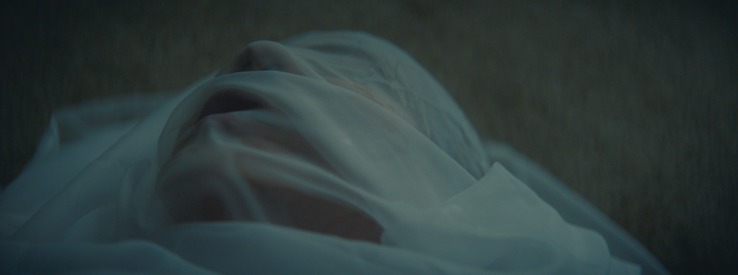 Screen Shot 2019-11-18 at 9.30.58 AM.png