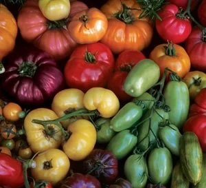 tomato_heirloommix.jpg