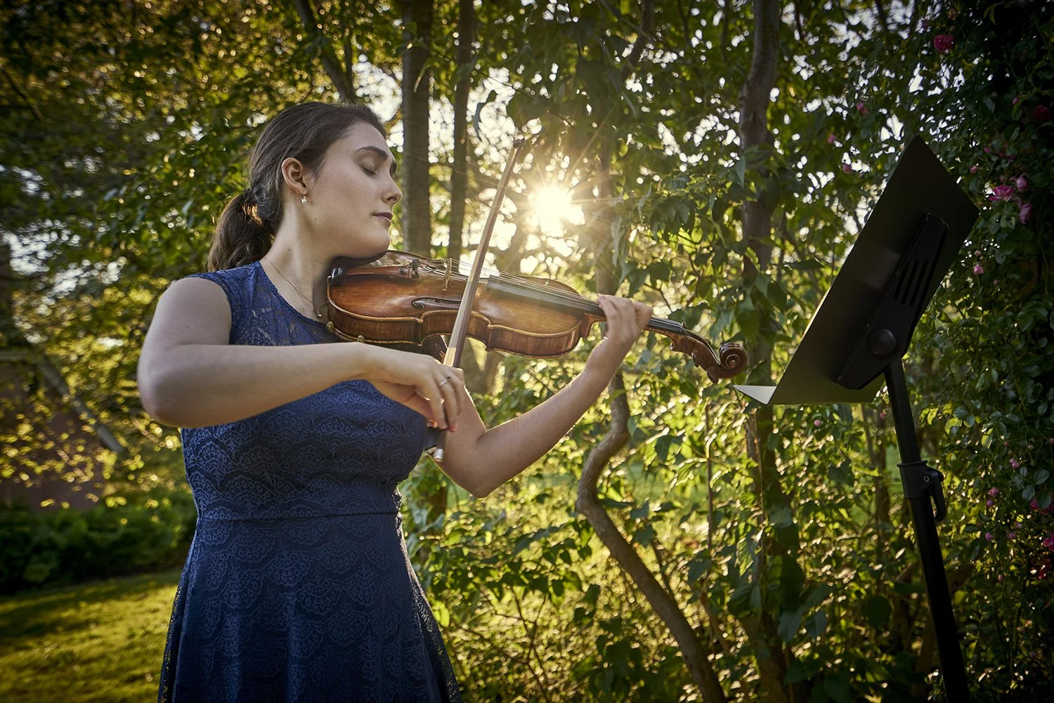 Notes in Nature at Planting Fields: Summer Symphonies