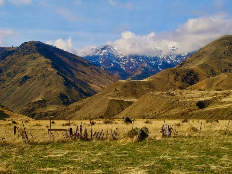    The Remote and Forgotten: Place and Nature in Contemporary Novels