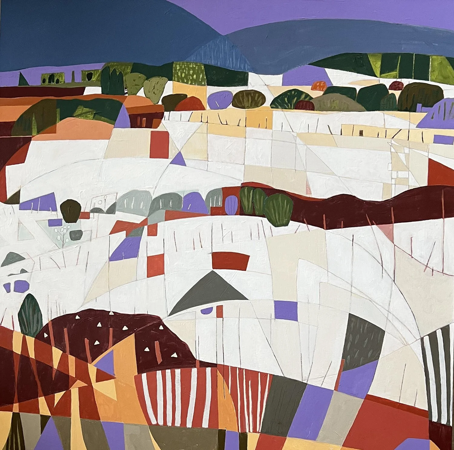 My Side Yard in Late Autumn Snow