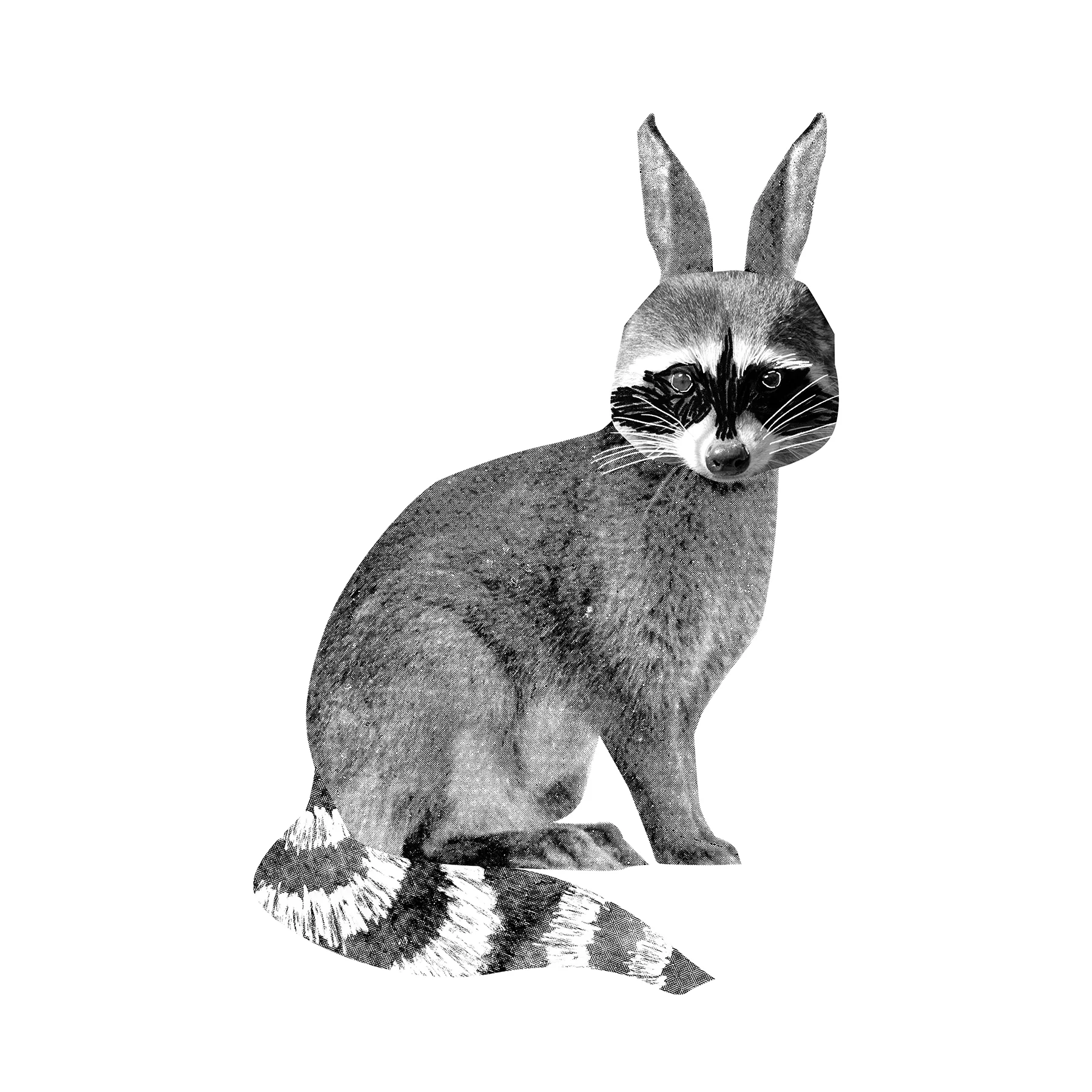 1 RR logo LARGE whitebkgnd.jpg