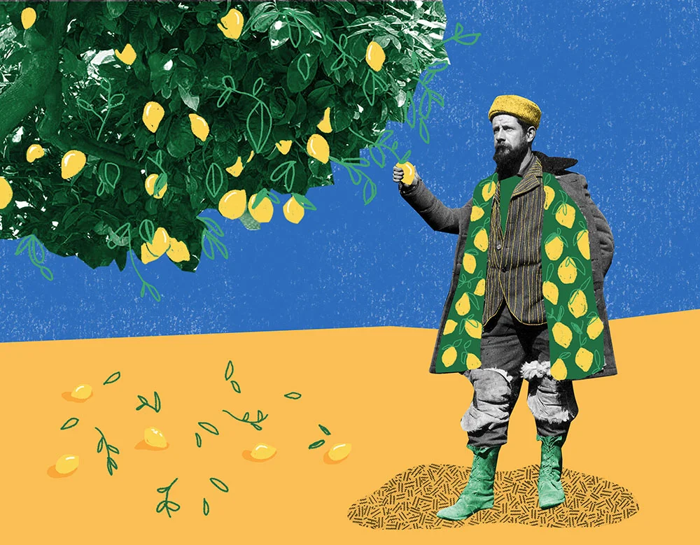 Meyer lemons final web.jpg