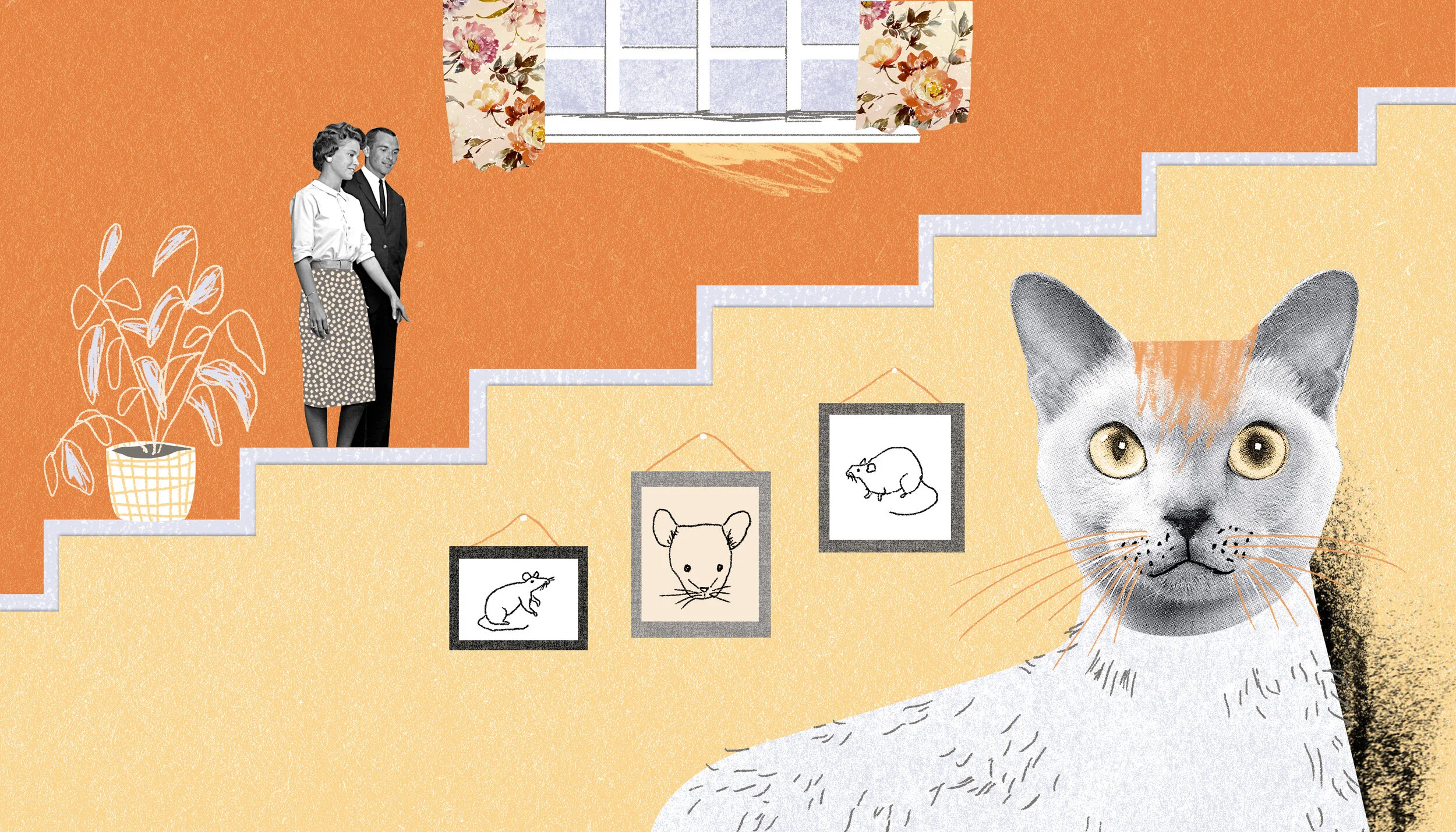 PS 24 header FINAL.jpg