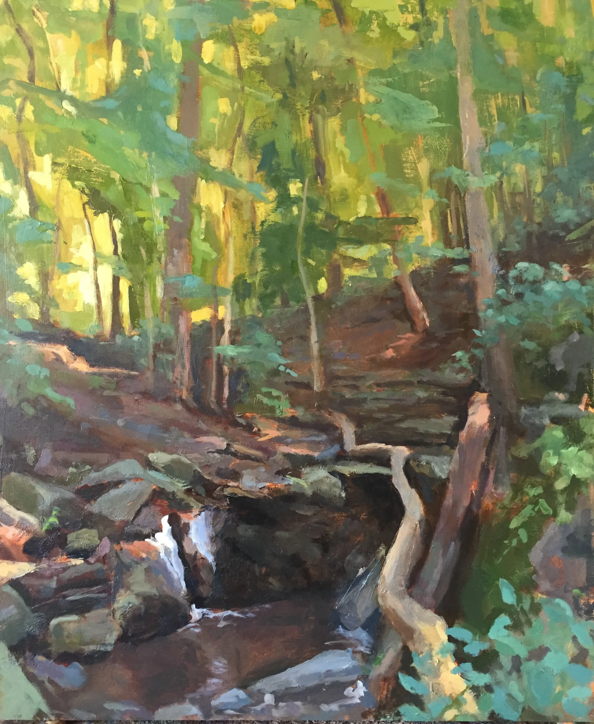 Forest Light, 2018. 20x24”