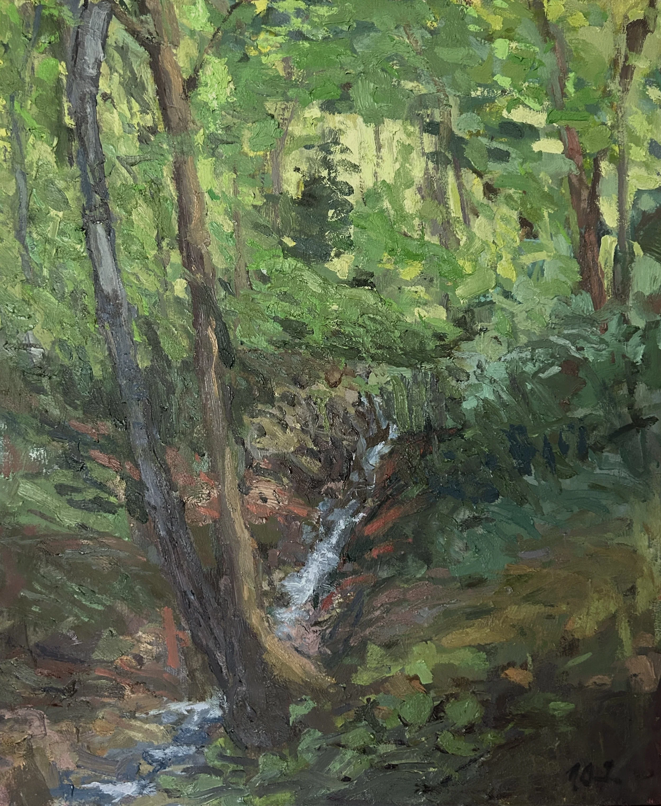 Gully, 2018-2022. 20x24”