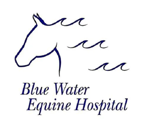 Blue_Logo.jpg