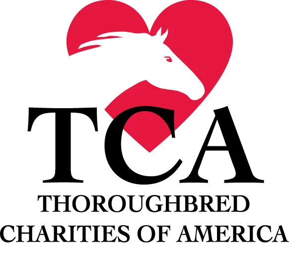 Grantee2017-TCA-Logo.jpg