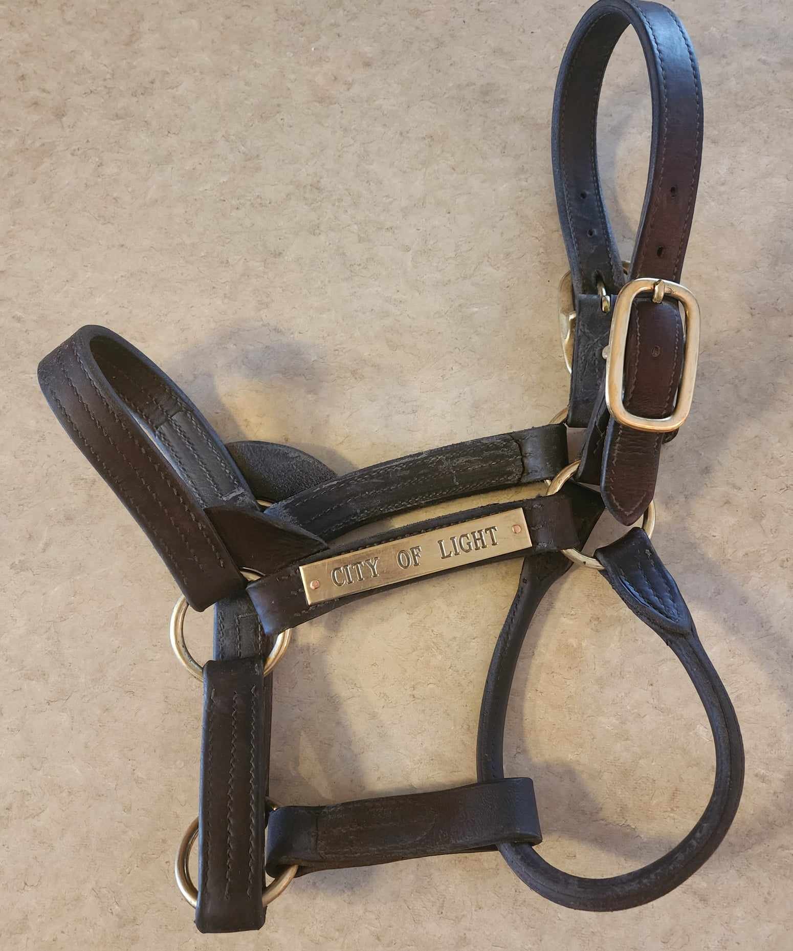 City of Light Halter.jpg