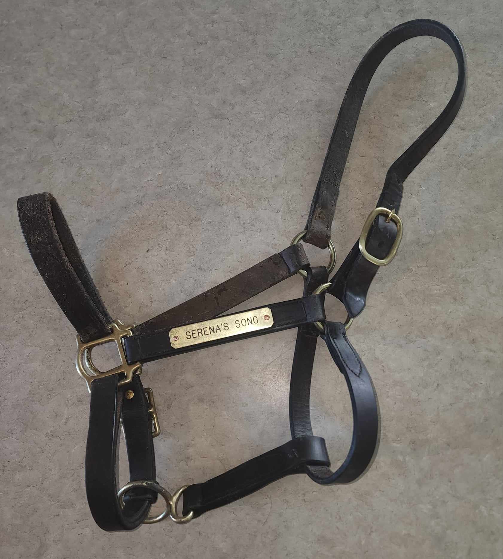 Serenas Halter.jpg