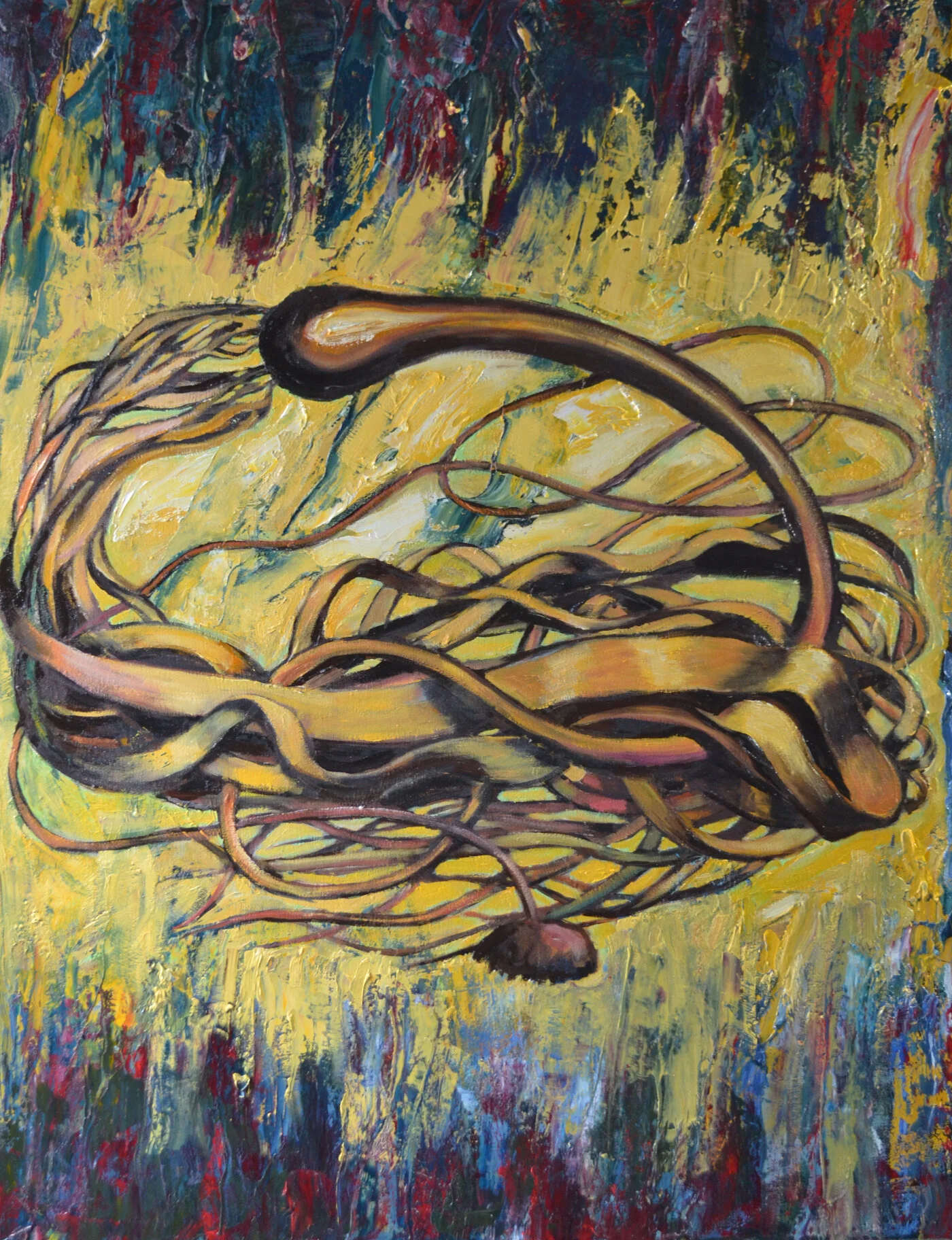 Bull Kelp1.JPG