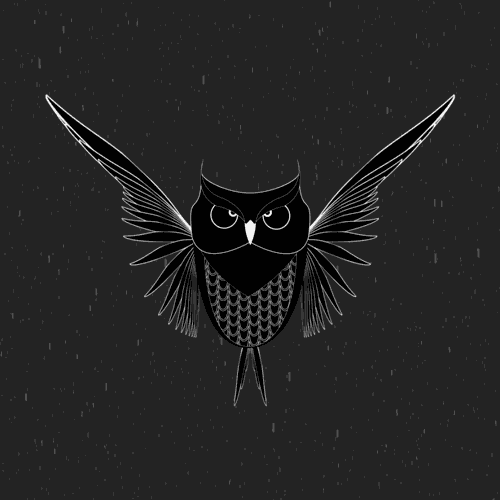 tumblr_ofxd0iYPkA1rmd611o1_500.gif