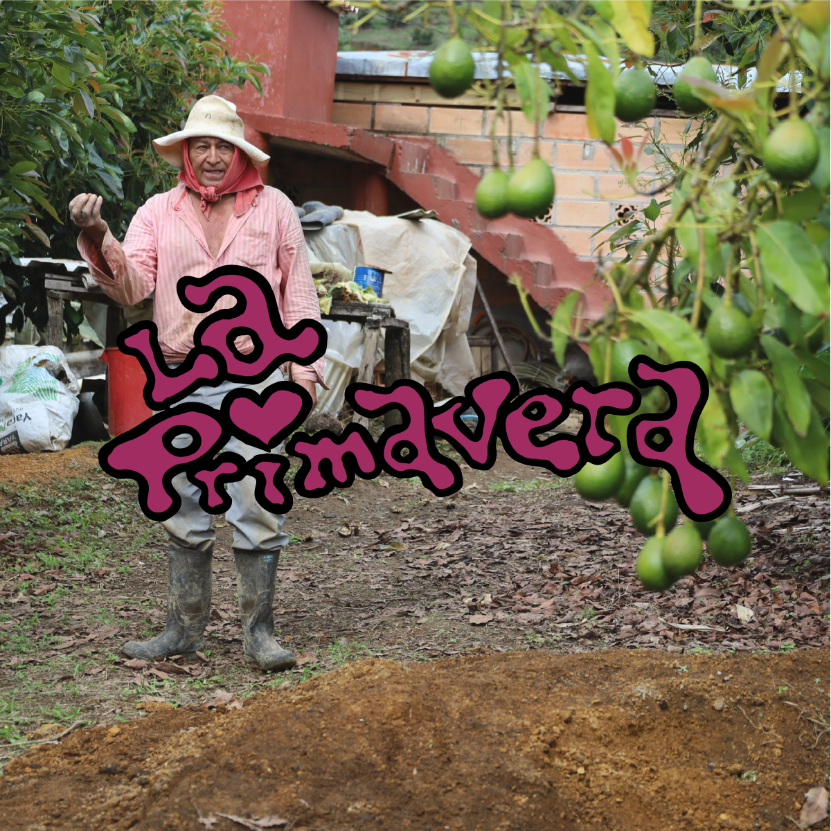 La Primavera - Colombia